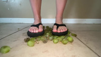 Ivys Feet
