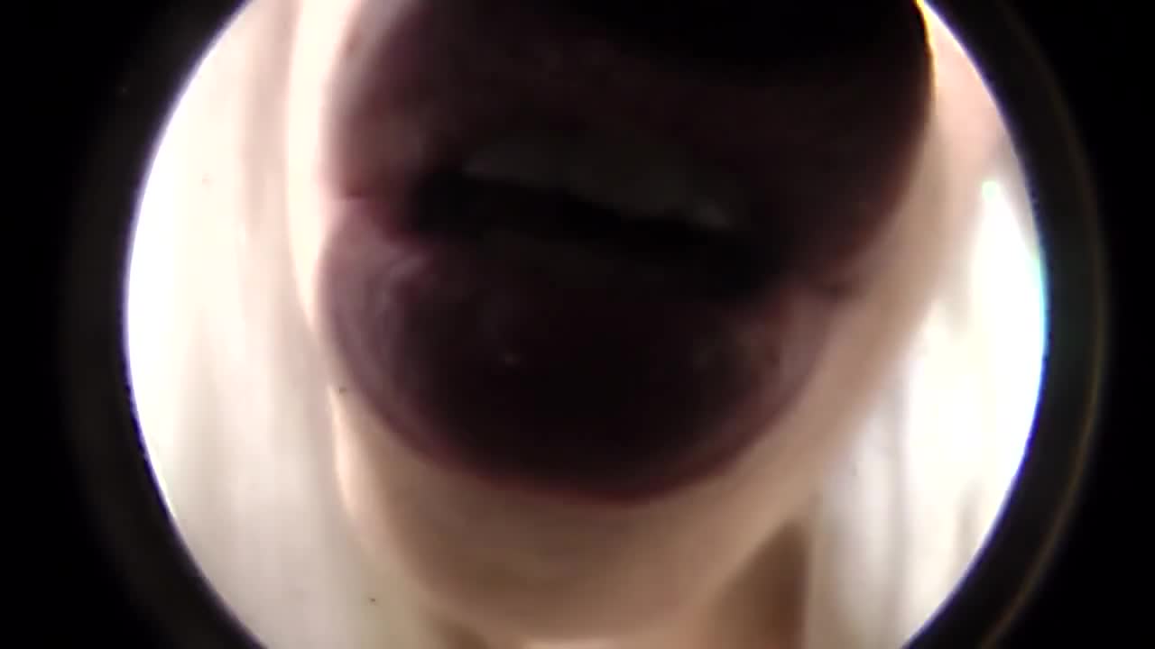 KendallOlsen - Cowgirl Titty Fucking Webcam