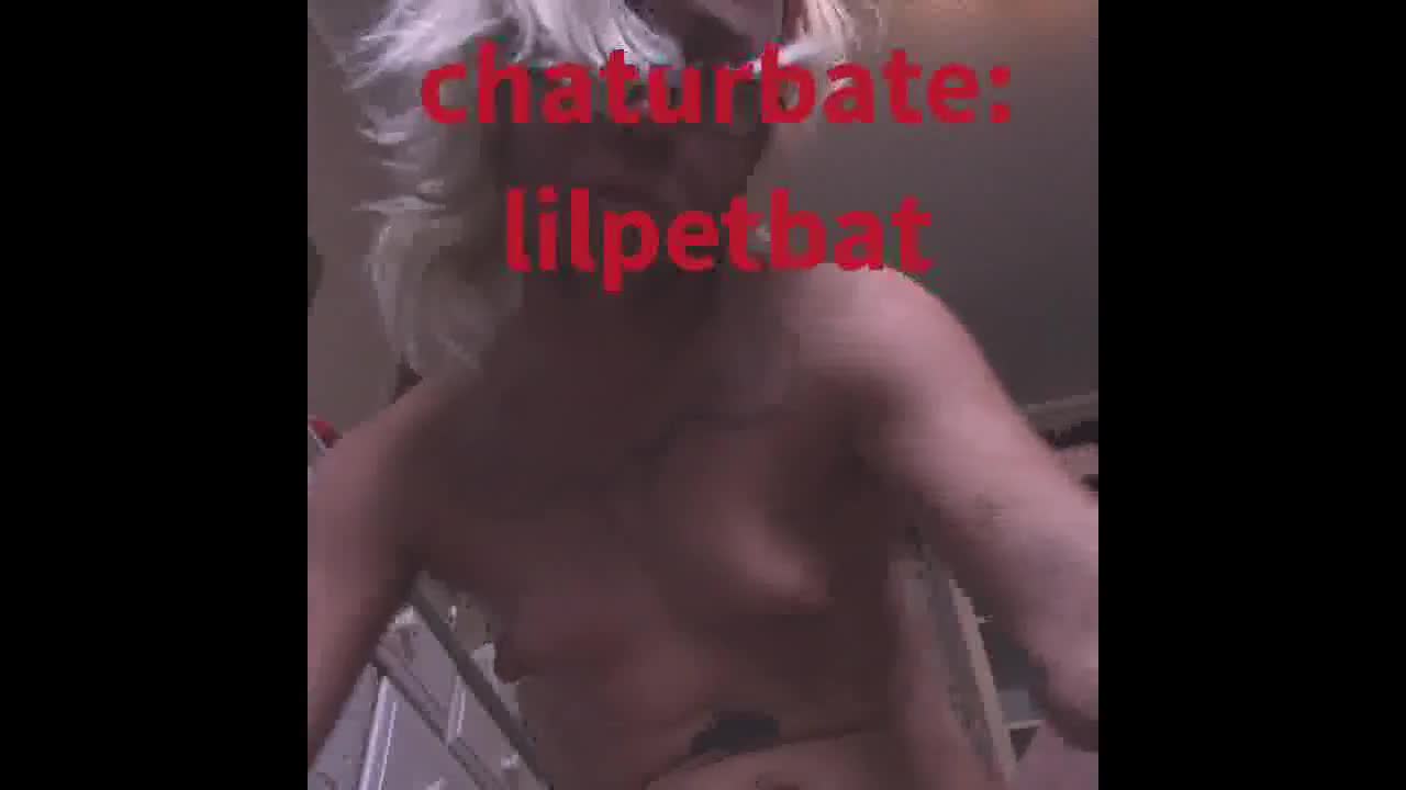 lilpetbat Performer Ass Grabbing Interviews